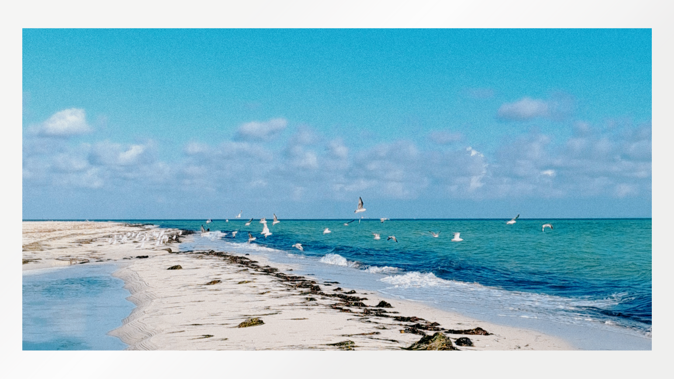 Galerie photos